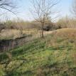 Property Olney, TX - 111 Acres