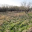 Property Olney, TX - 111 Acres