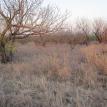 Olney Property