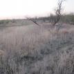 Olney Property