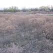 Olney Property