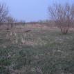 Olney Property